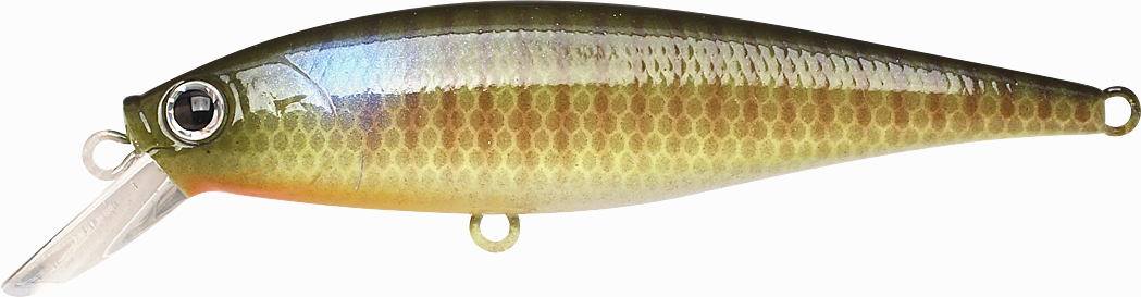 Lucky Craft Pointer 78 Suspending Shallow Jerkbait