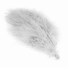 Marabou Select Plumes - Wapsi
