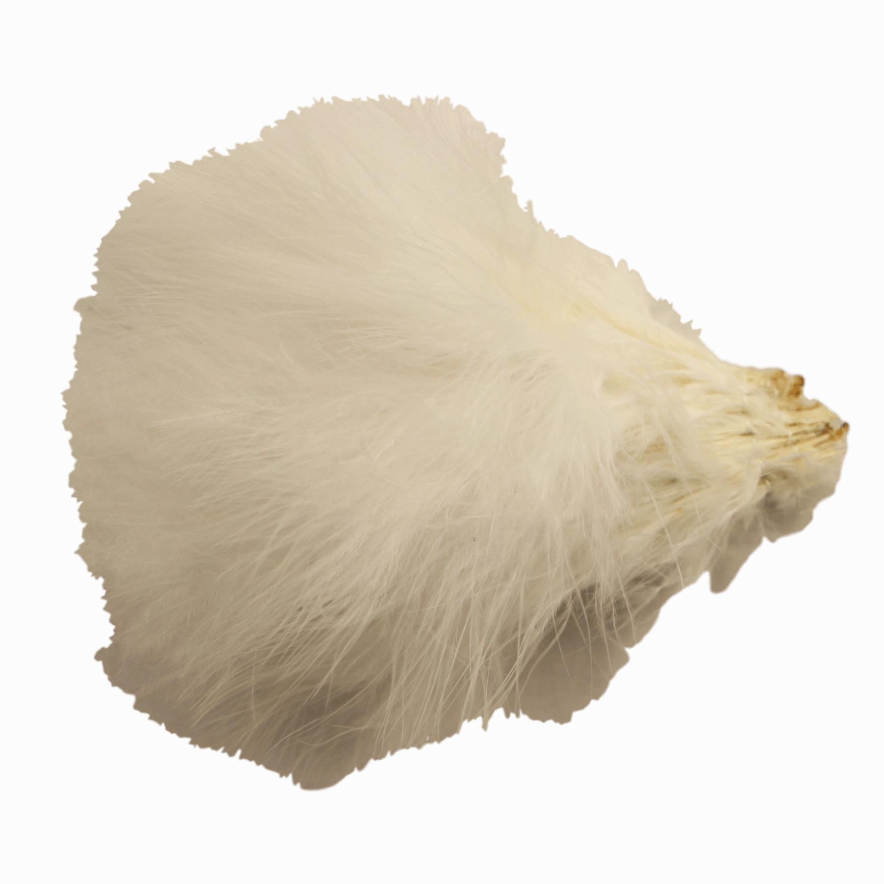 Marabou Strung Blood Quills