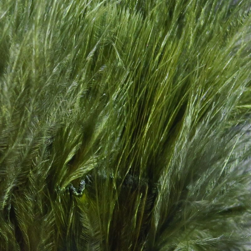 Marabou Strung Blood Quills