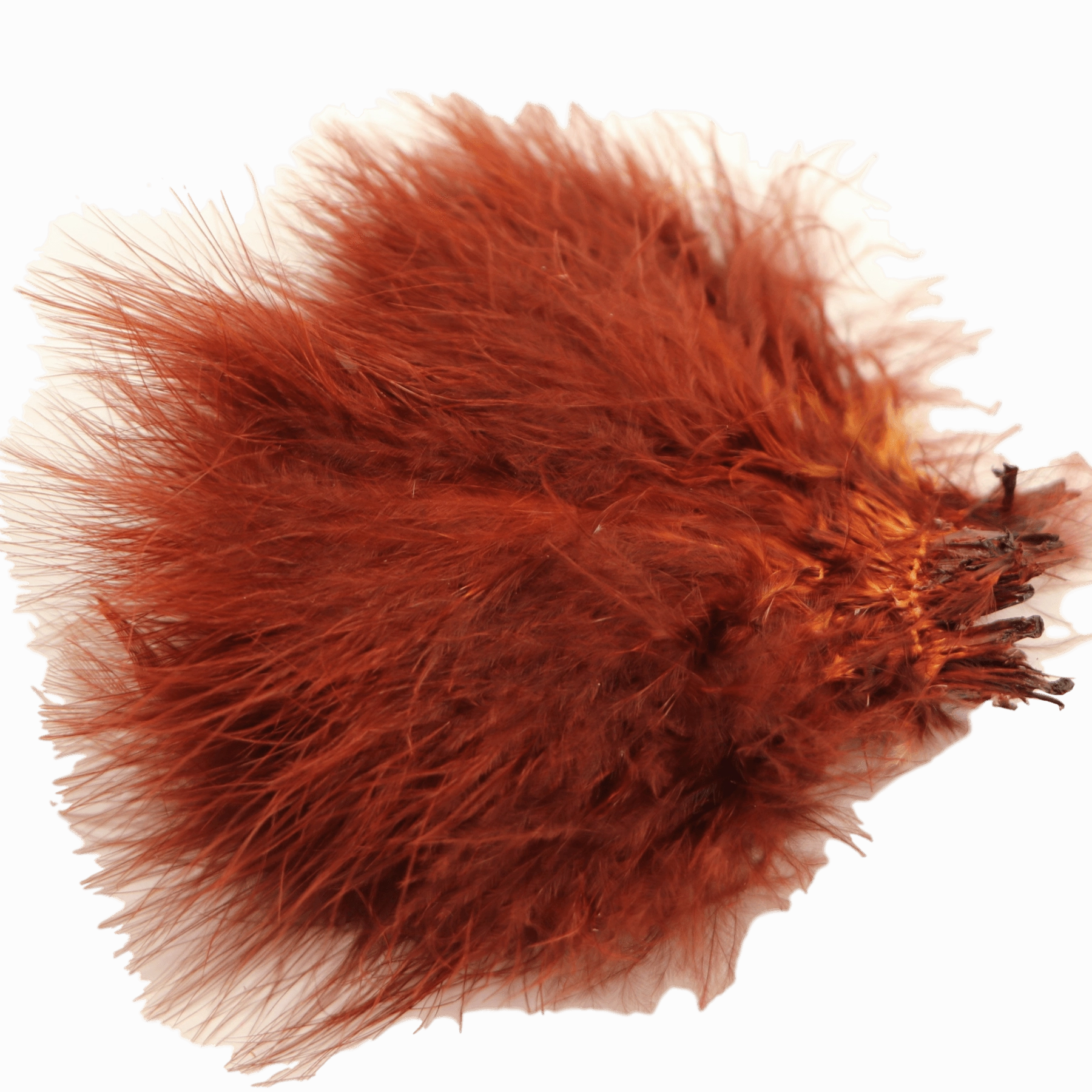Marabou Strung Blood Quills