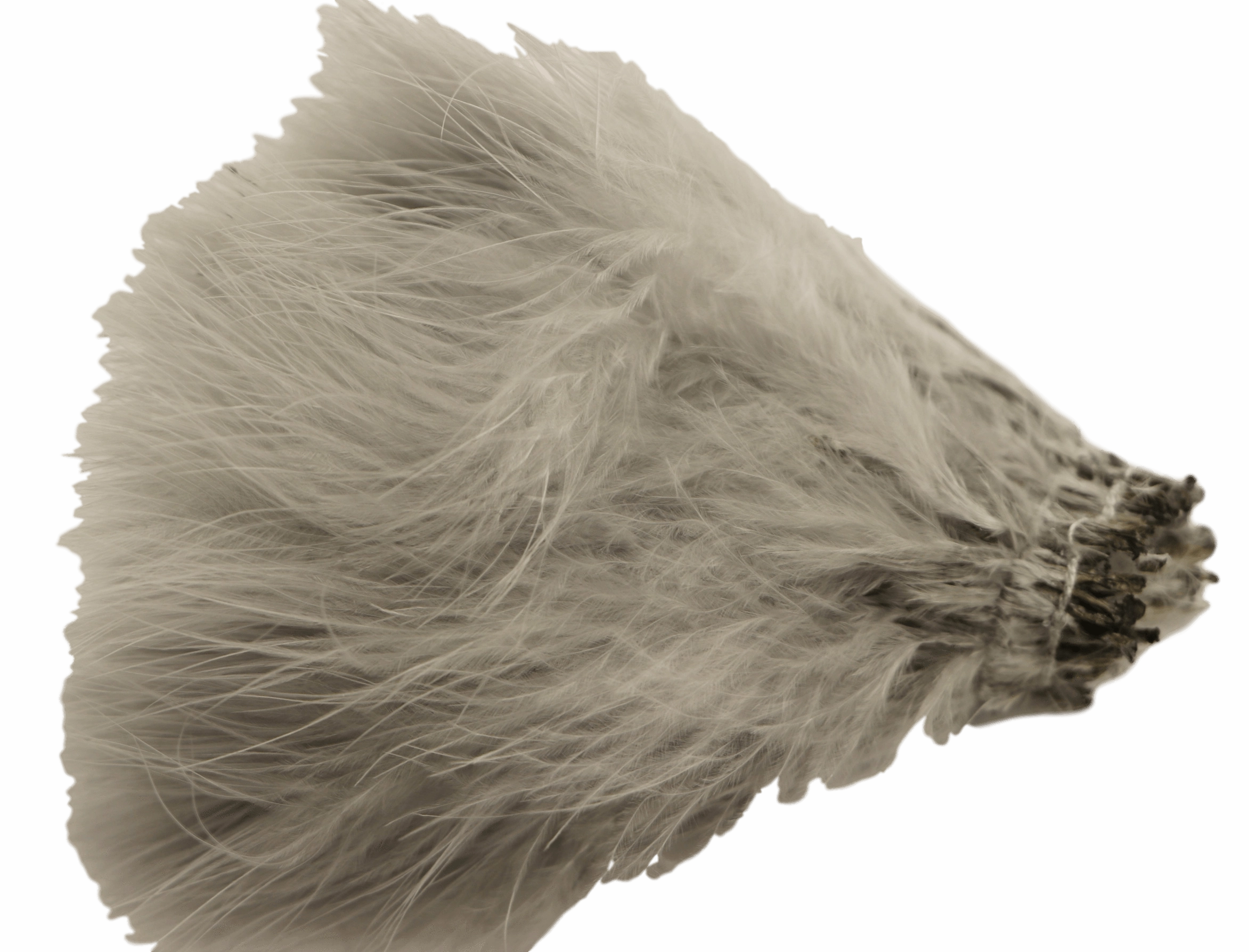 Marabou Strung Blood Quills