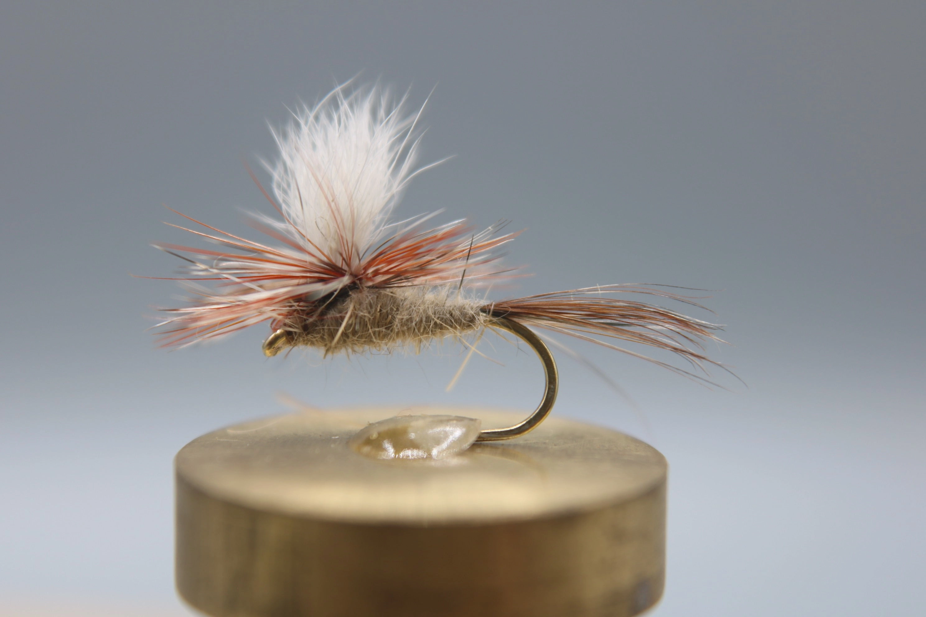 March Brown Parachute Dry