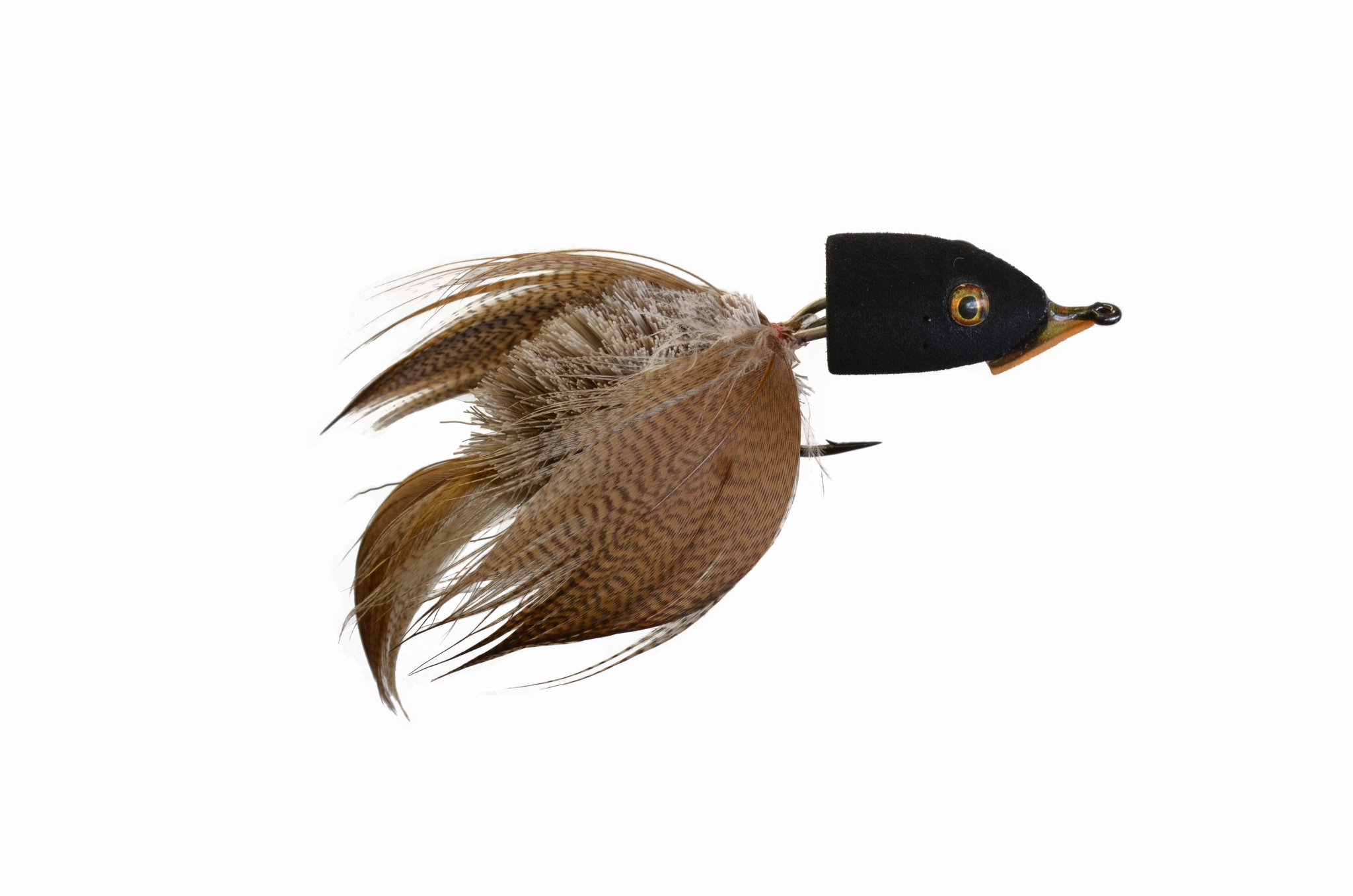 Mason's Baby Swallow
