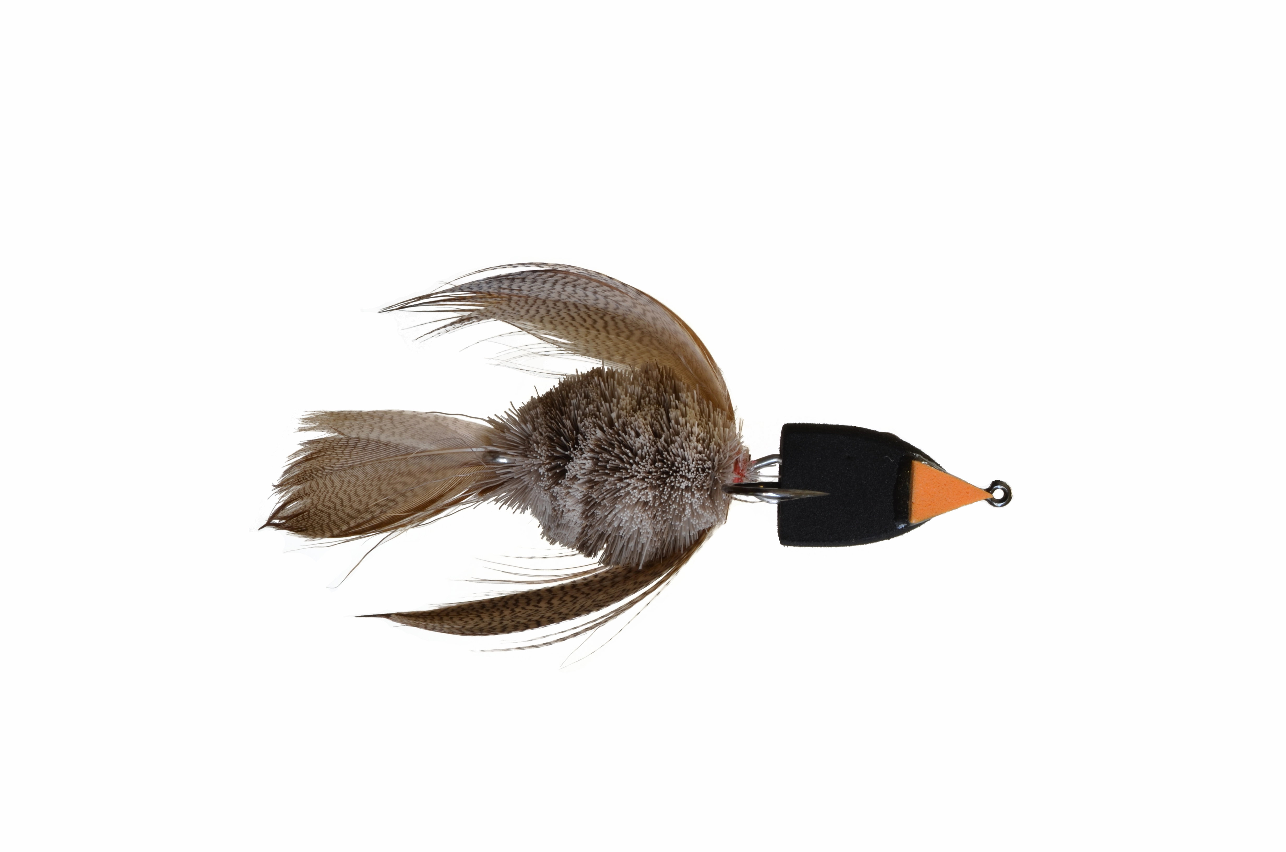 Mason's Baby Swallow