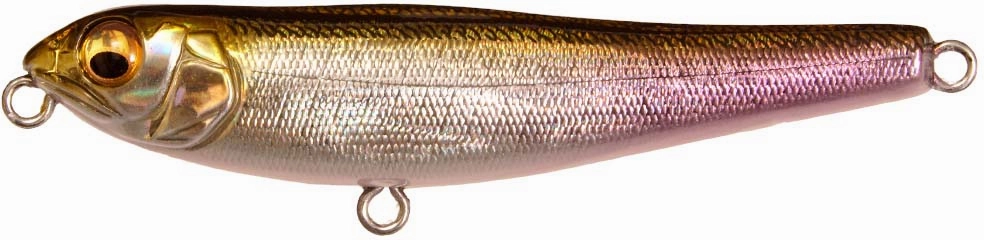 Megabass Dog-X JR Coayu (BFS)