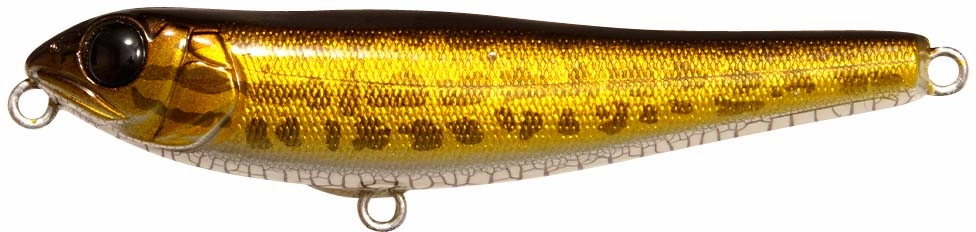 Megabass Dog-X JR Coayu (BFS)