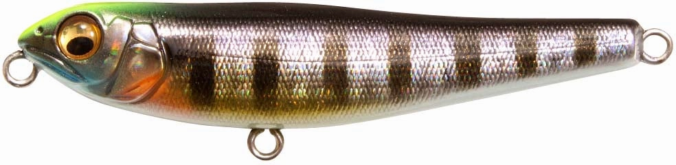 Megabass Dog-X JR Coayu (BFS)