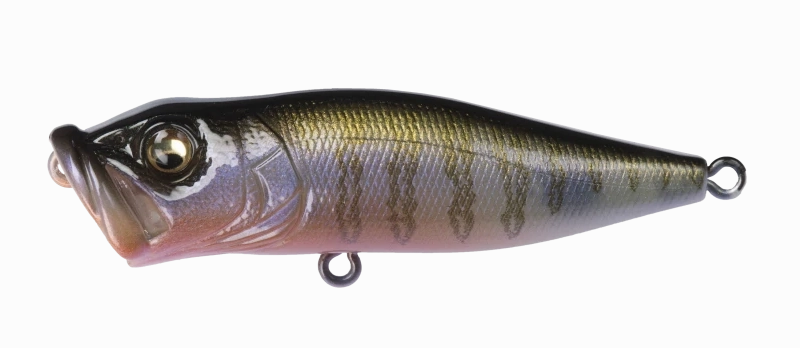 Megabass Pop-X Topwater Popper