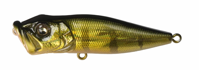 Megabass Pop-X Topwater Popper