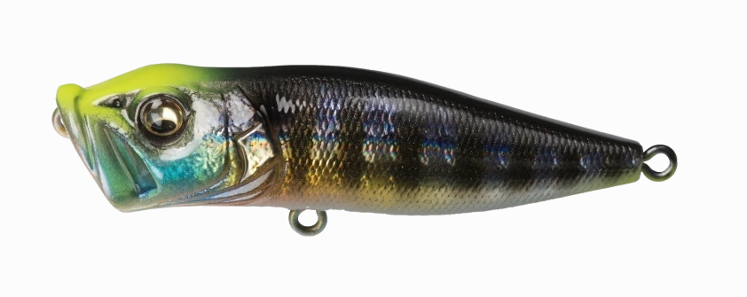 Megabass Pop-X Topwater Popper