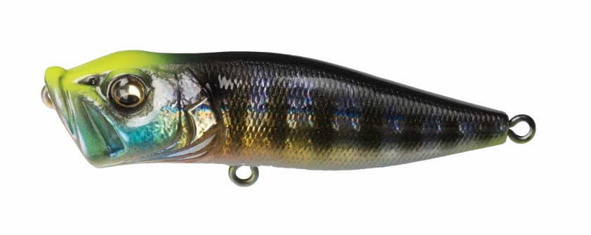 Megabass Pop-X Topwater Popper