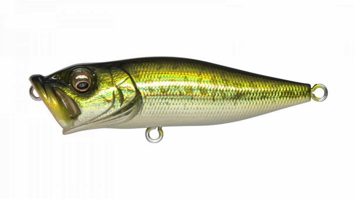 Megabass Pop-X Topwater Popper
