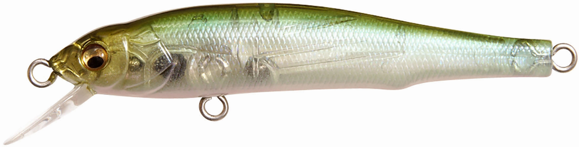 Megabass X-70 BFS