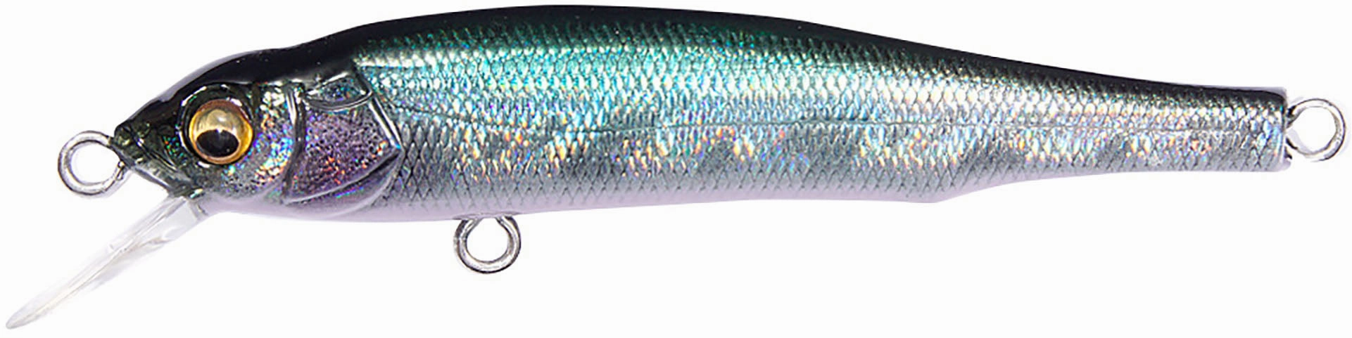 Megabass X-70 BFS