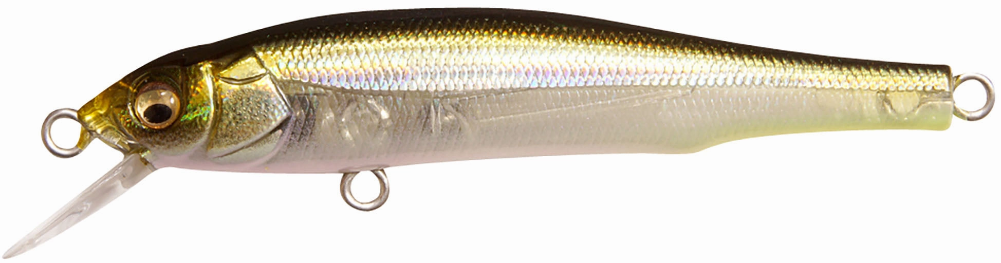 Megabass X-70 BFS