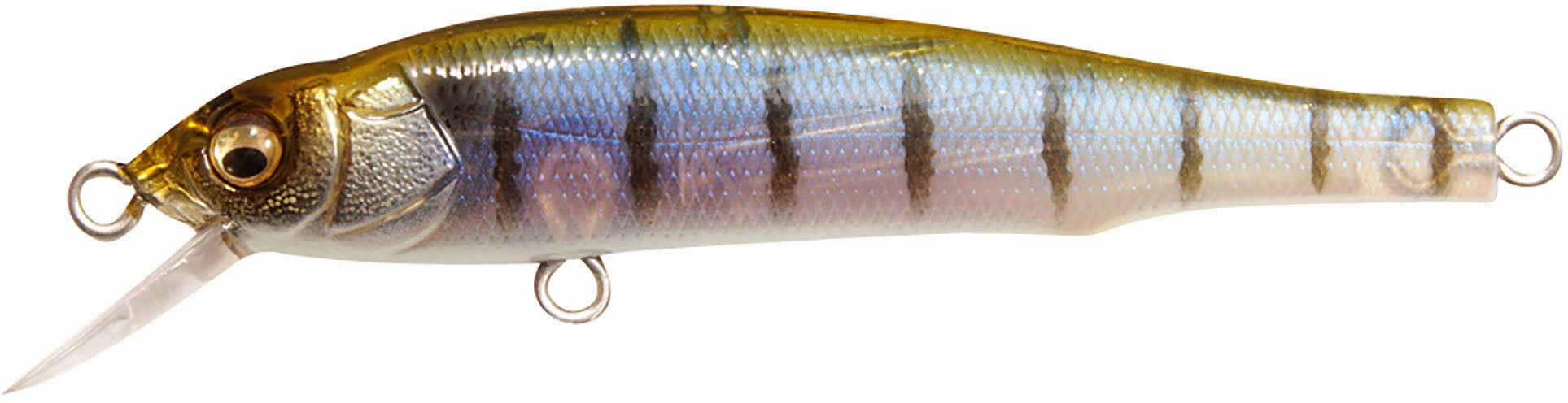 Megabass X-70 BFS