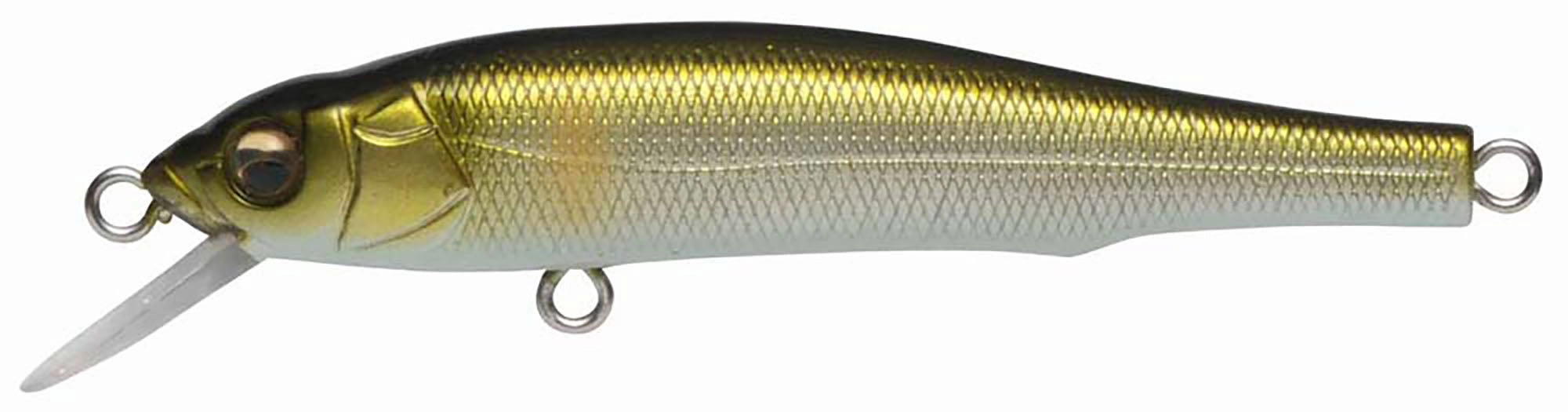 Megabass X-70 BFS
