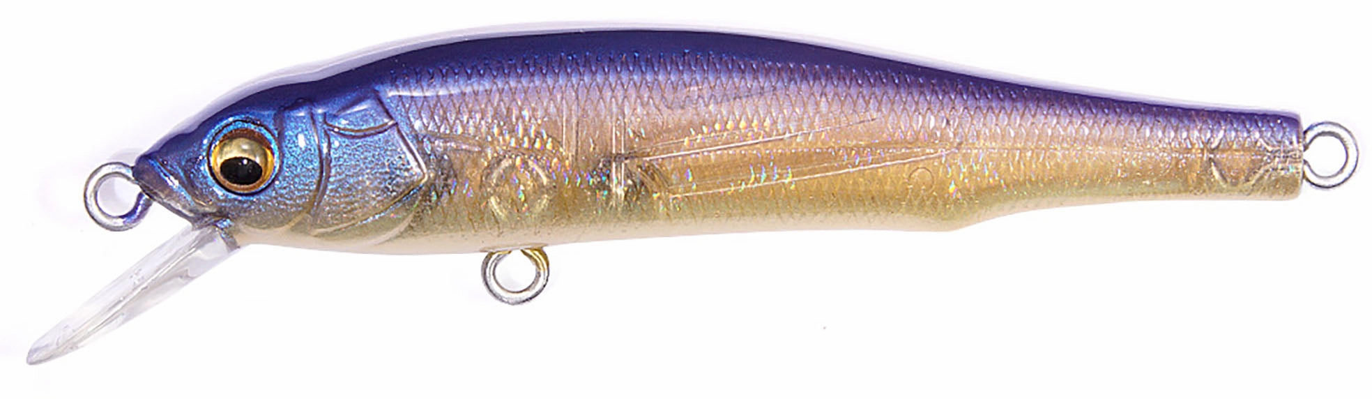 Megabass X-70 BFS