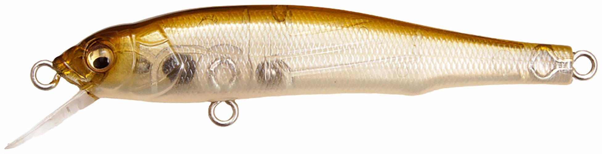 Megabass X-70 BFS