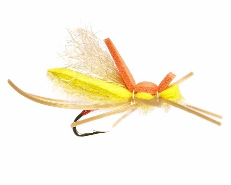 Micro Frank Fly