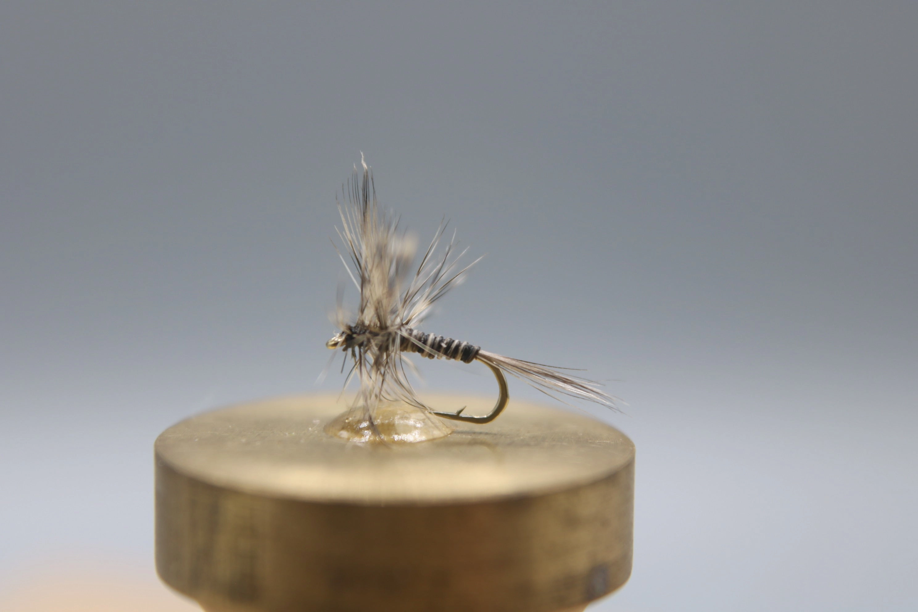 Mosquito Dry