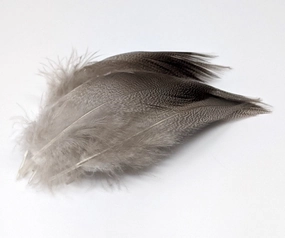 Nature's Spirit Bronze Mallard 24 Select Feathers