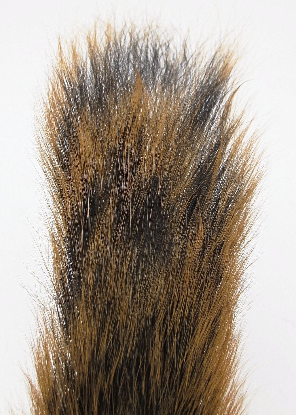 Nature's Spirit Complete Squirrel Tail