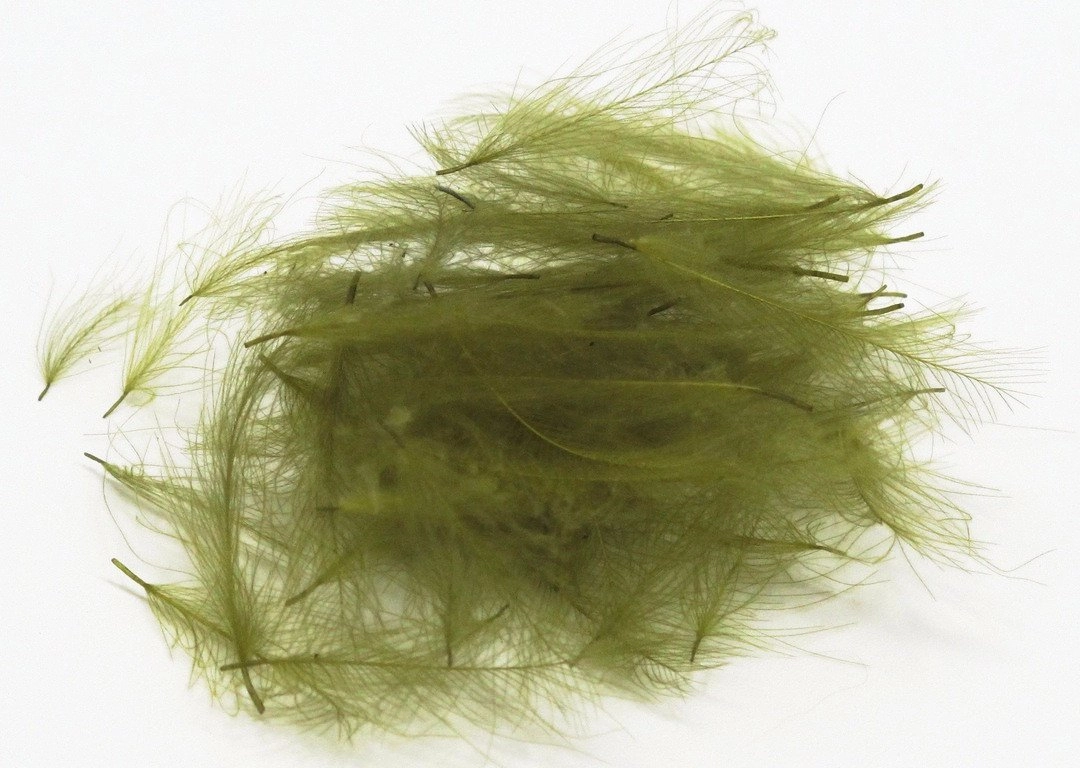 Nature's Spirit Duck Cul De Canard Feathers CDC