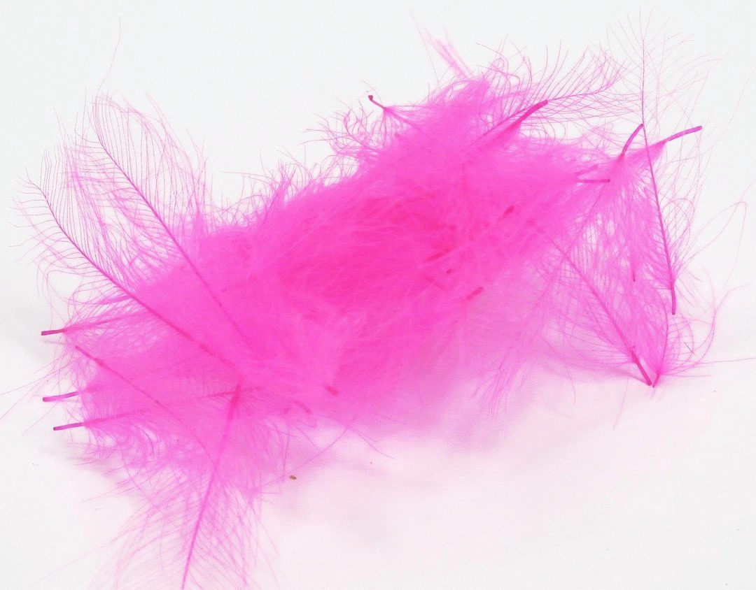 Nature's Spirit Duck Cul De Canard Feathers CDC
