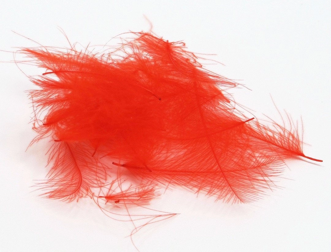 Nature's Spirit Duck Cul De Canard Feathers CDC