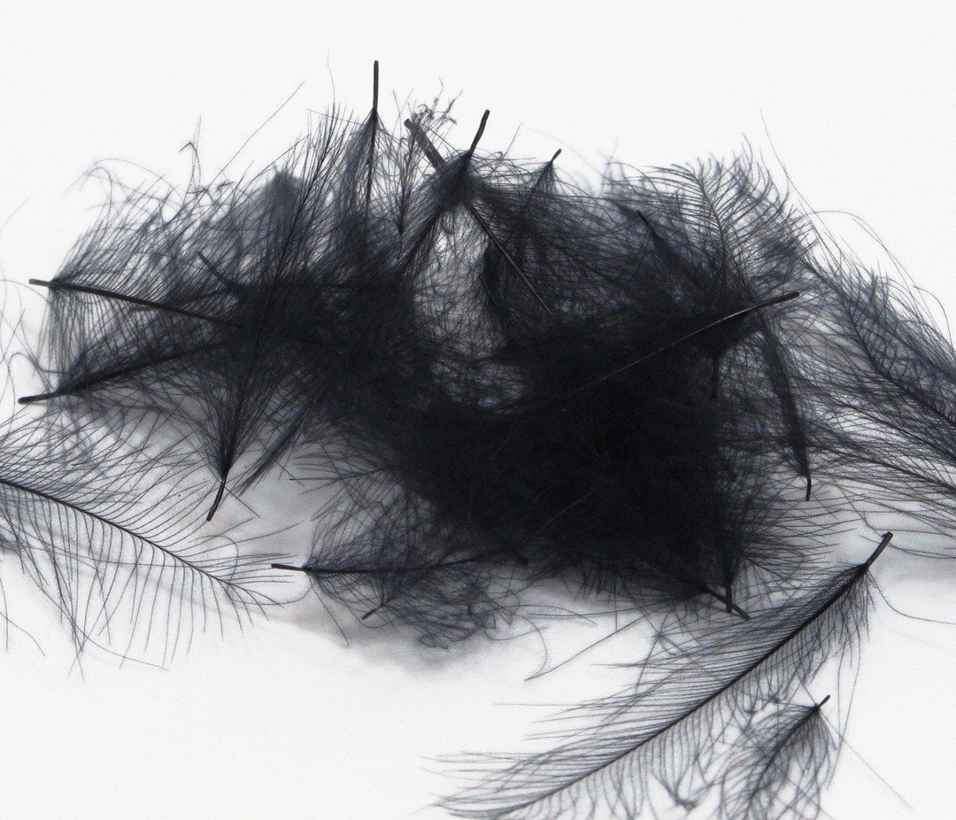 Nature's Spirit Duck Cul De Canard Feathers CDC