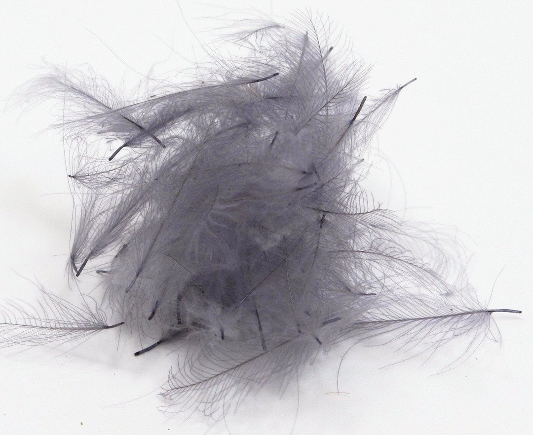 Nature's Spirit Duck Cul De Canard Feathers CDC