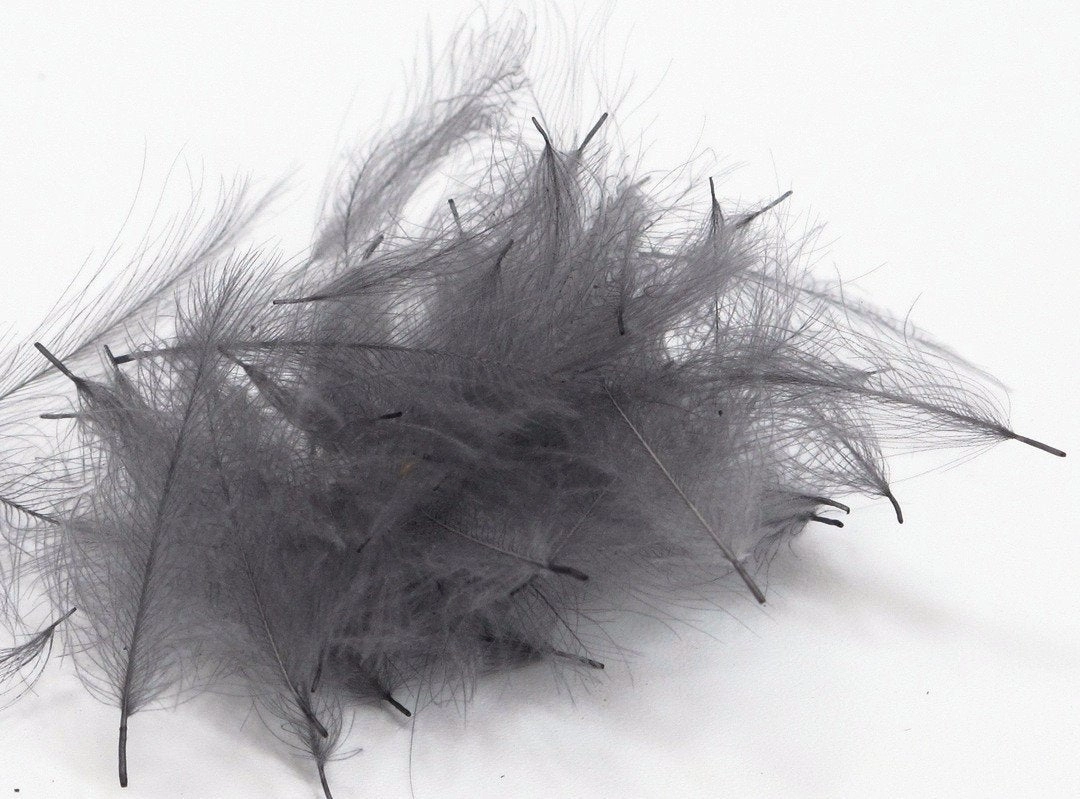 Nature's Spirit Duck Cul De Canard Feathers CDC