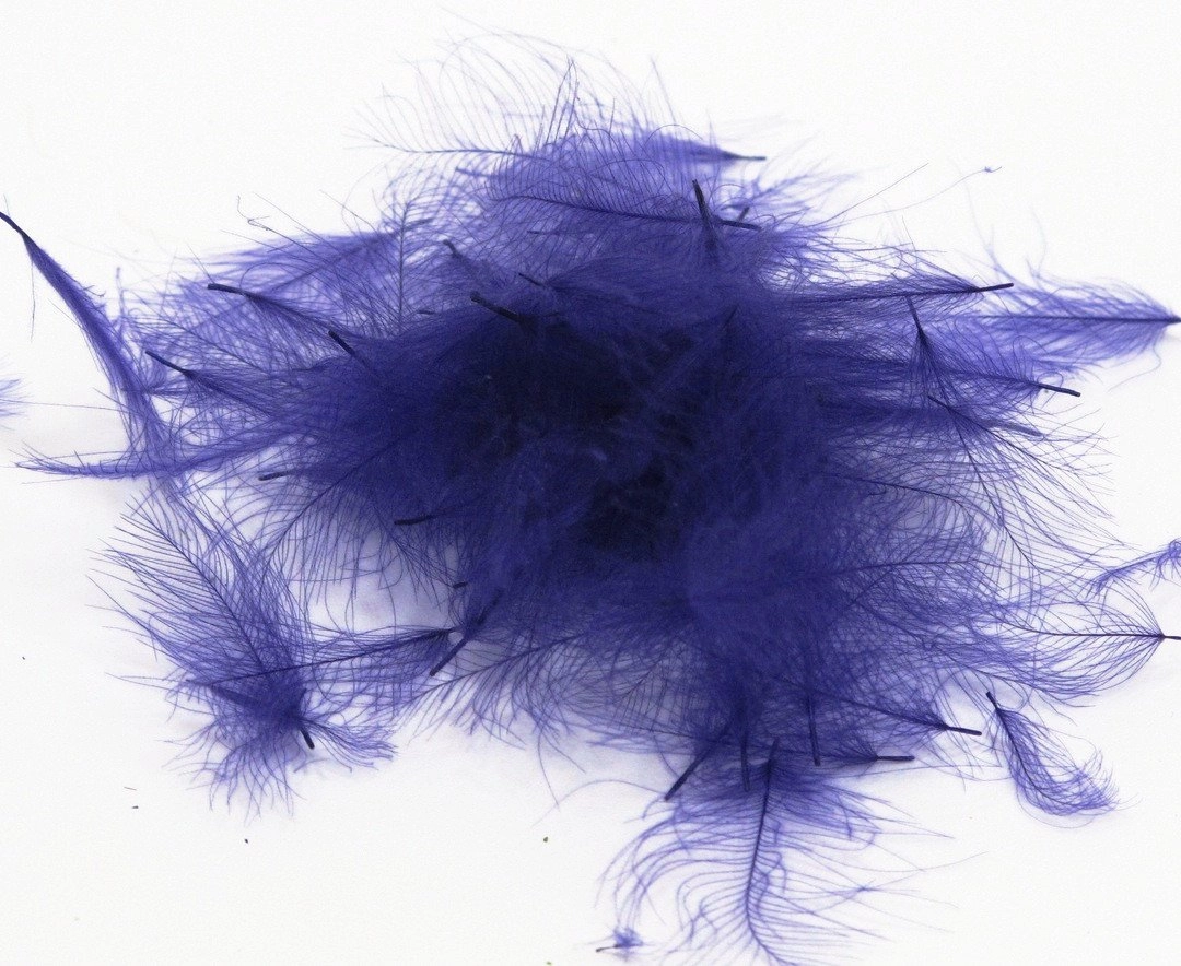 Nature's Spirit Duck Cul De Canard Feathers CDC