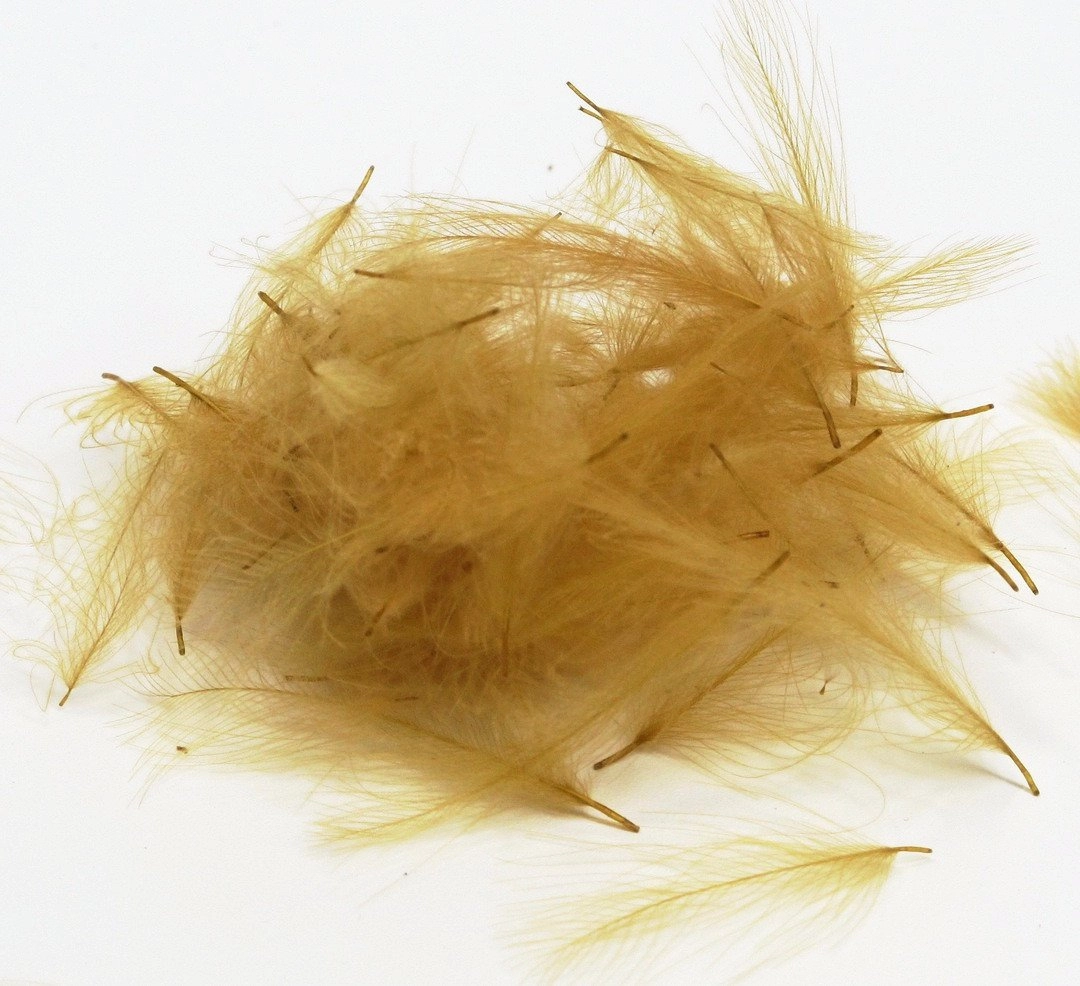 Nature's Spirit Duck Cul De Canard Feathers CDC