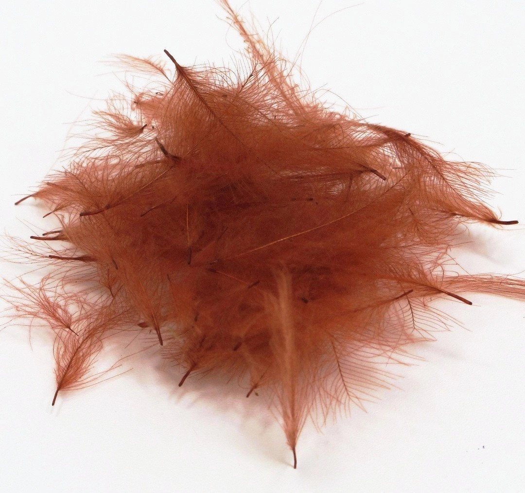 Nature's Spirit Duck Cul De Canard Feathers CDC