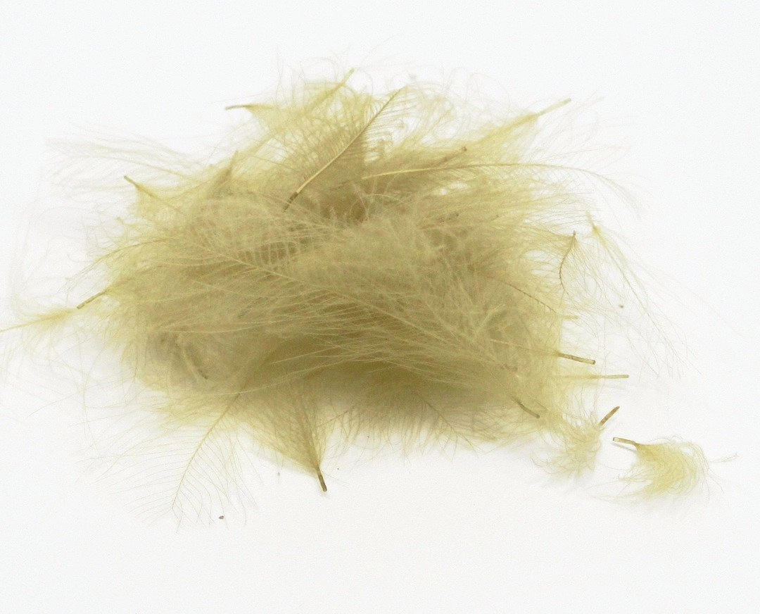 Nature's Spirit Duck Cul De Canard Feathers CDC