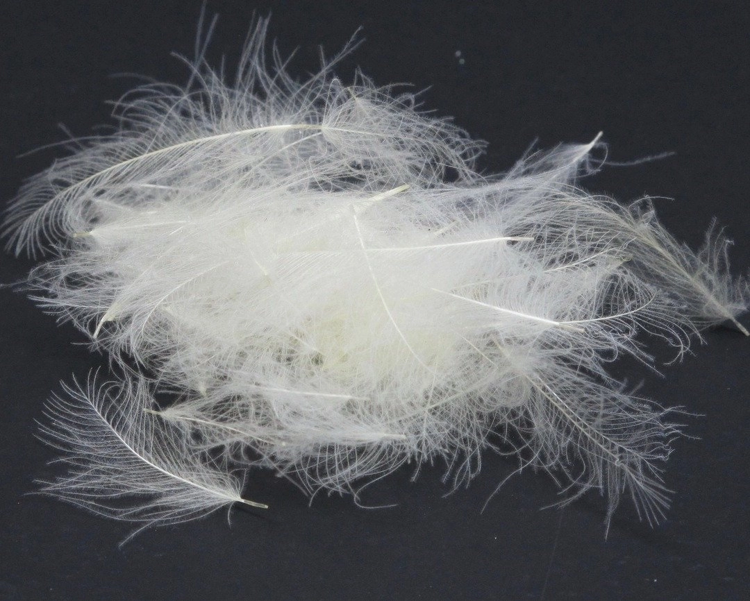 Nature's Spirit Duck Cul De Canard Feathers CDC