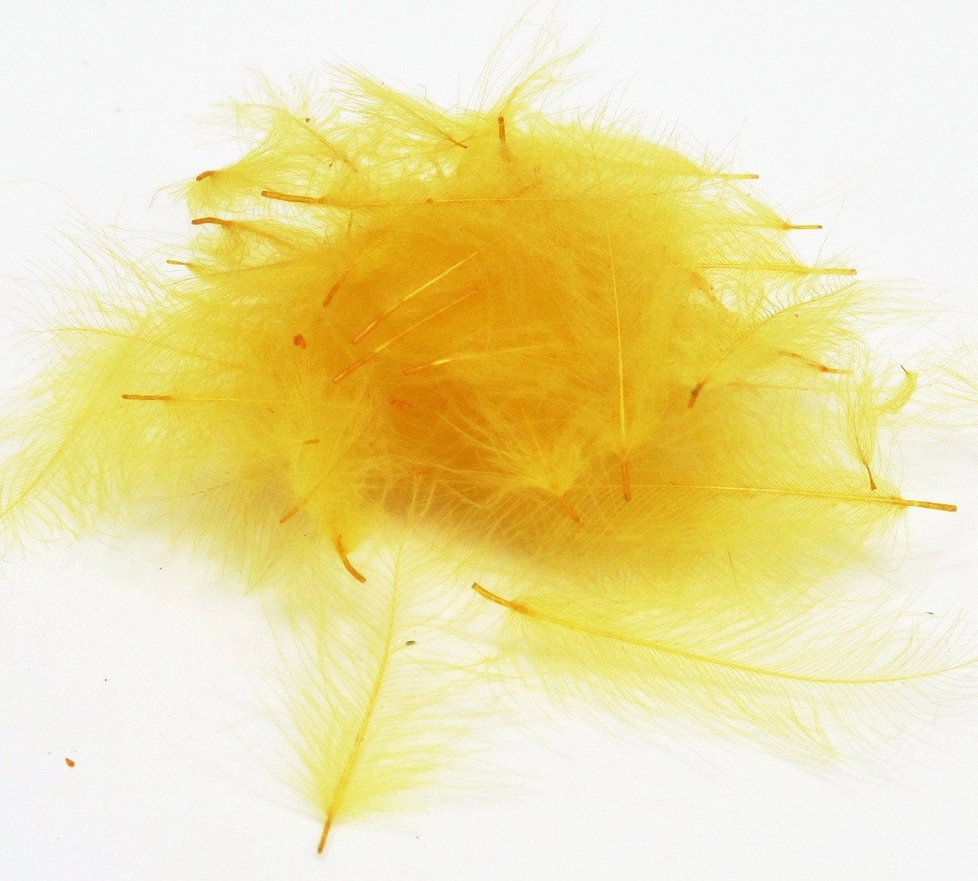 Nature's Spirit Duck Cul De Canard Feathers CDC