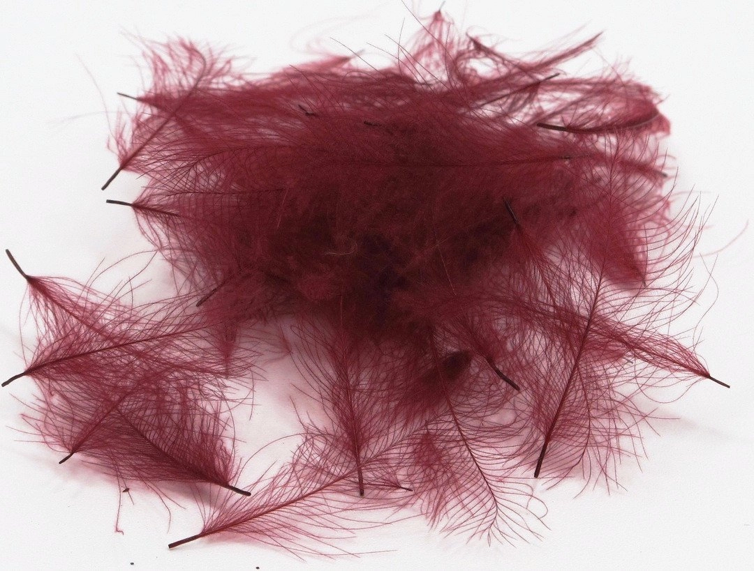 Nature's Spirit Duck Cul De Canard Feathers CDC