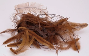 Nature's Spirit Emu Feathers
