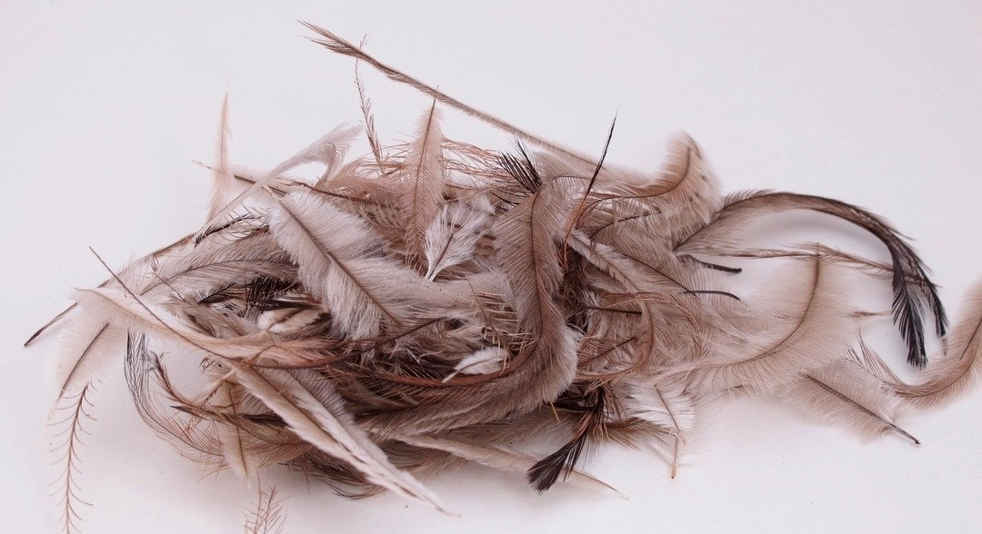 Nature's Spirit Emu Feathers