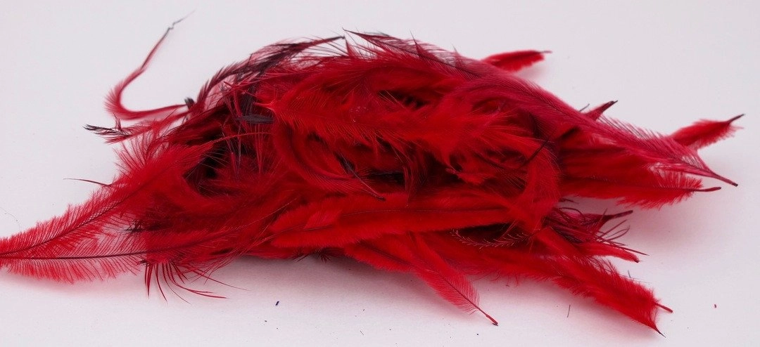 Nature's Spirit Emu Feathers