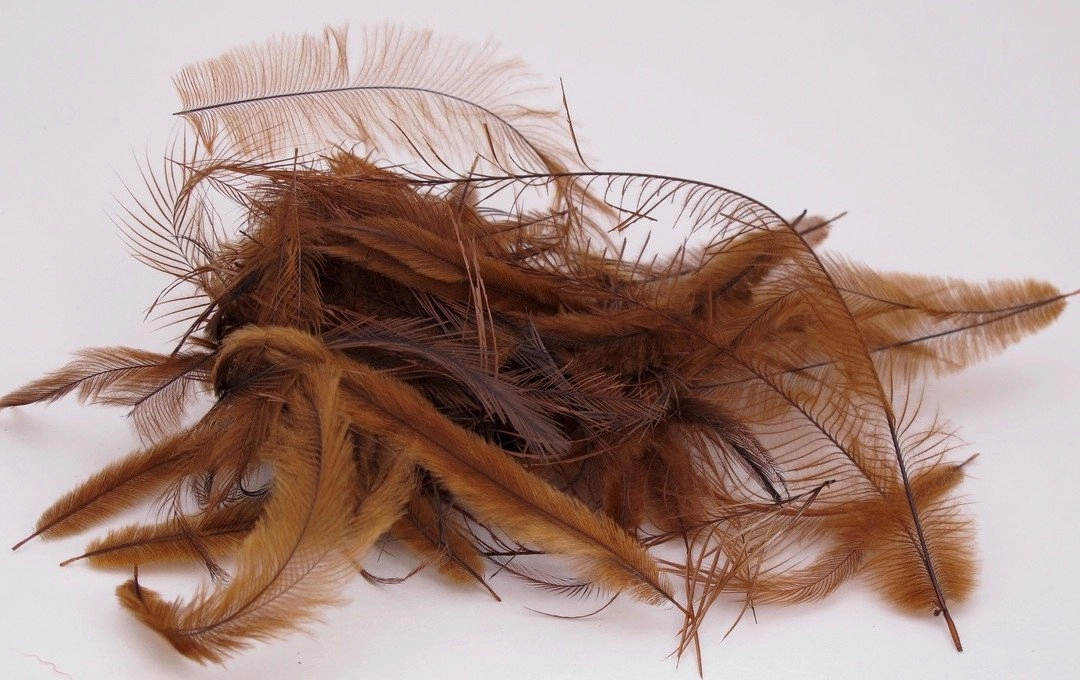 Nature's Spirit Emu Feathers