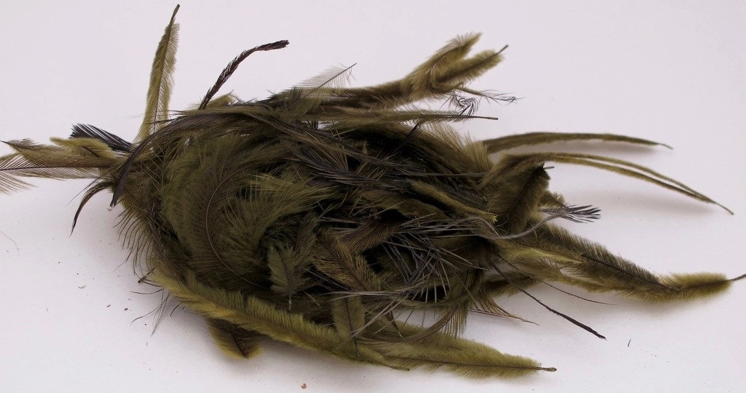 Nature's Spirit Emu Feathers
