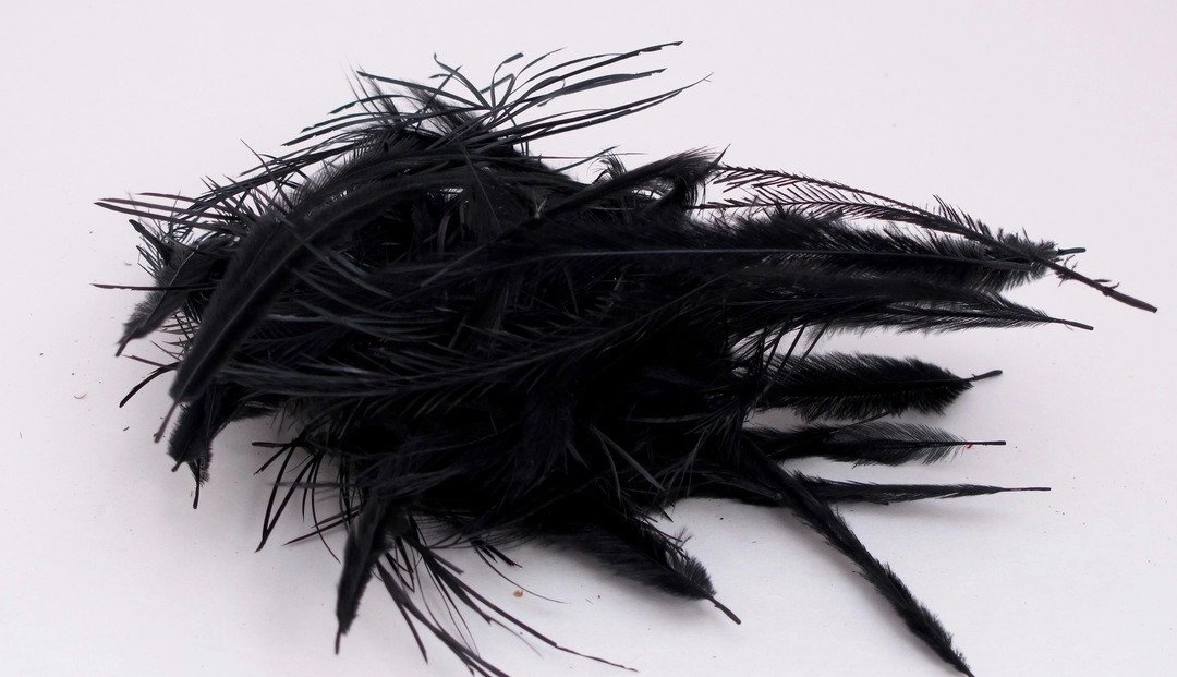 Nature's Spirit Emu Feathers