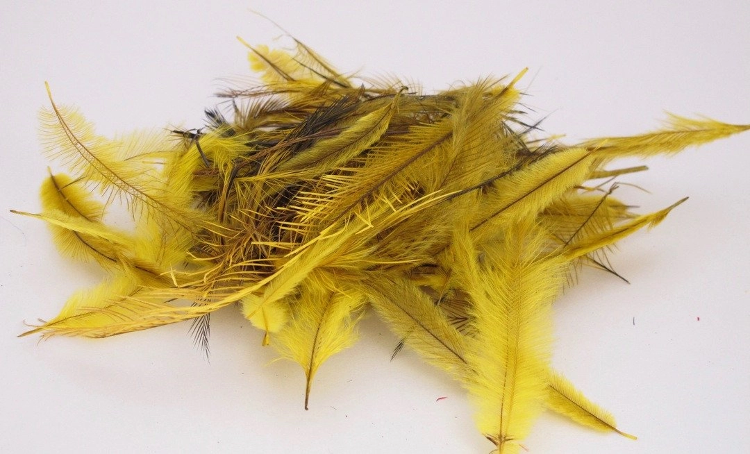 Nature's Spirit Emu Feathers