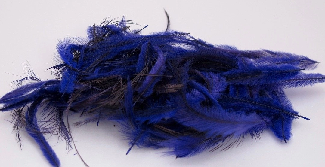 Nature's Spirit Emu Feathers