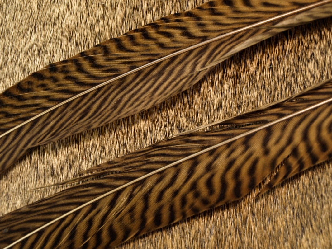 Nature's Spirit Golden Pheasant Side Tails 14" to 16" pair Select Pair